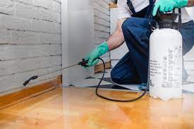 Pest Control Las Vegas: Customized Solutions for Every Pest Challenge post thumbnail image