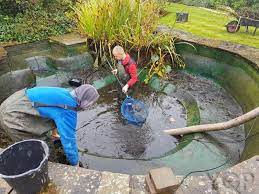 Pond Care Specialists: Tailored Solutions for Every Water Wonderland post thumbnail image