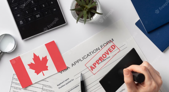 Exactly what is the Canada New venture Visa Software? post thumbnail image
