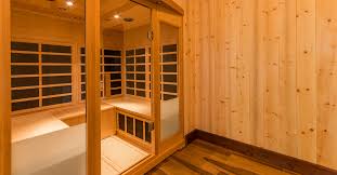 Infrared Saunas: A Holistic Approach to Pain Relief post thumbnail image