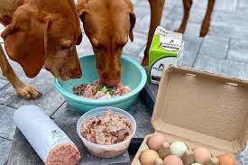 Understanding Raw Dog Food Nutrition: Meeting Canine Dietary Needs post thumbnail image