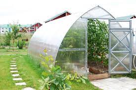 Greenhouse Elegance: Your Path to Gardening Bliss post thumbnail image
